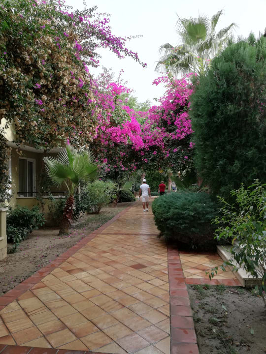 Gartenanlage Club Dizalya