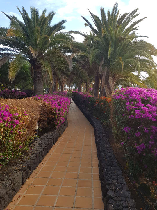 Gartenanlage Relaxia Olivina