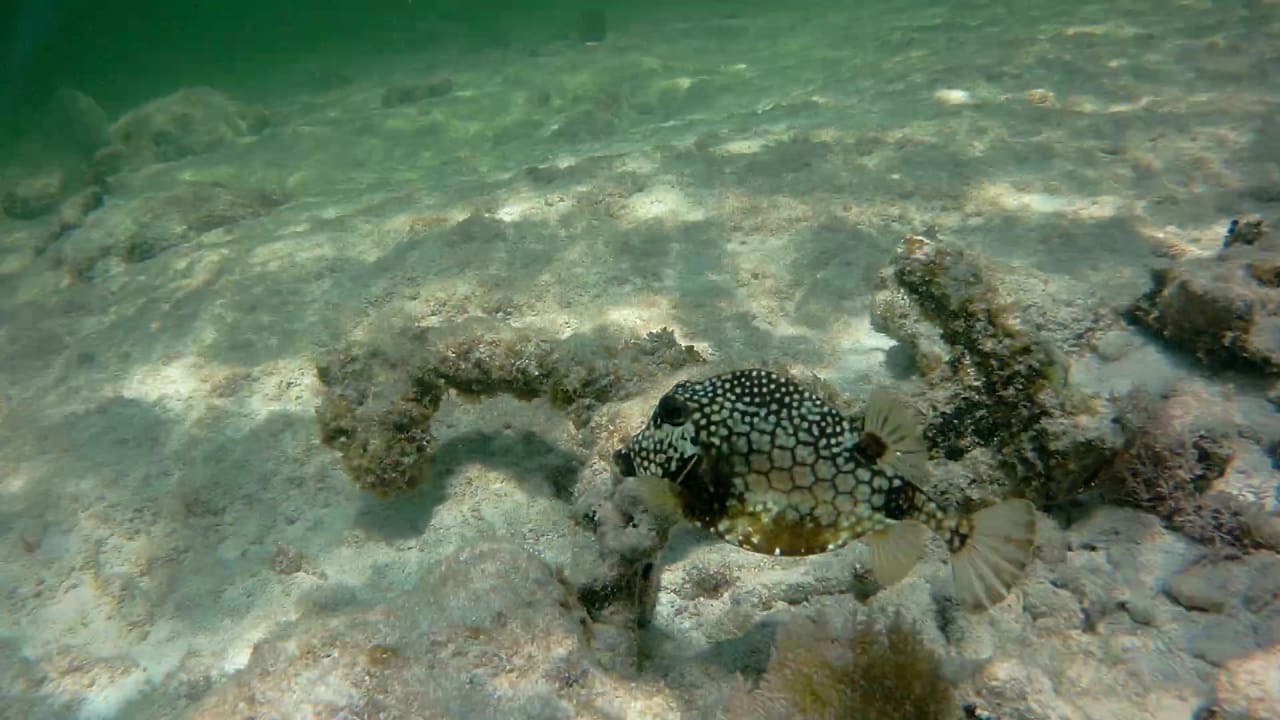 Sport & Freizeit Akumal Bay Beach & Wellness Resort