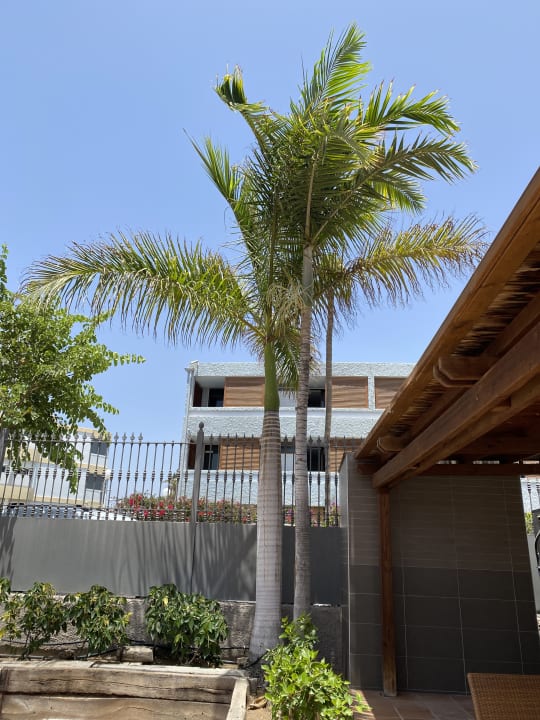 Außenansicht Las Tabaibas Appartements