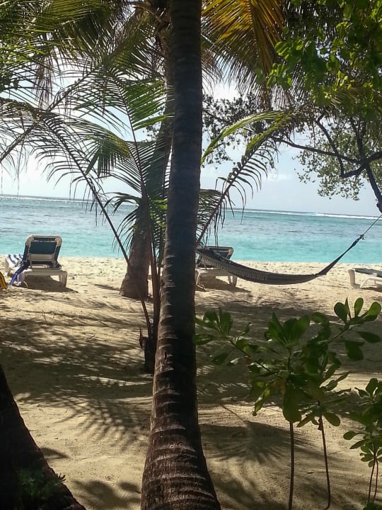 Strand Meeru Maldives Resort Island