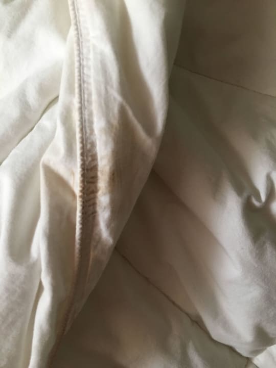 Zudecke Custom Hotel