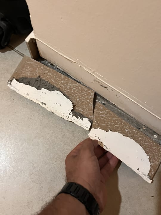 Zimmer AQI Pegasos World