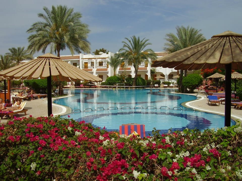 Basen hotelowy Dive Inn Resort