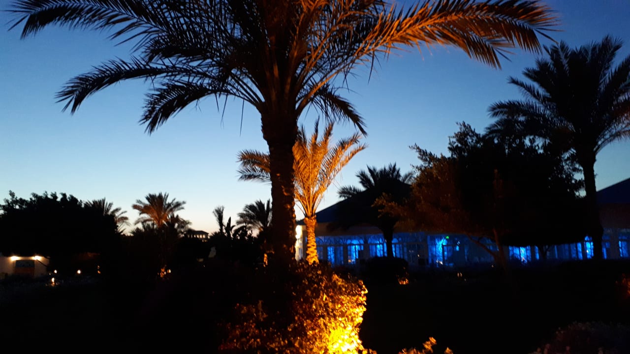 Gartenanlage Desert Rose