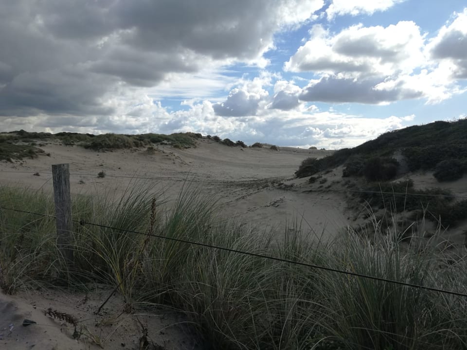 Ausblick Roompot Vakantiepark Kijkduin