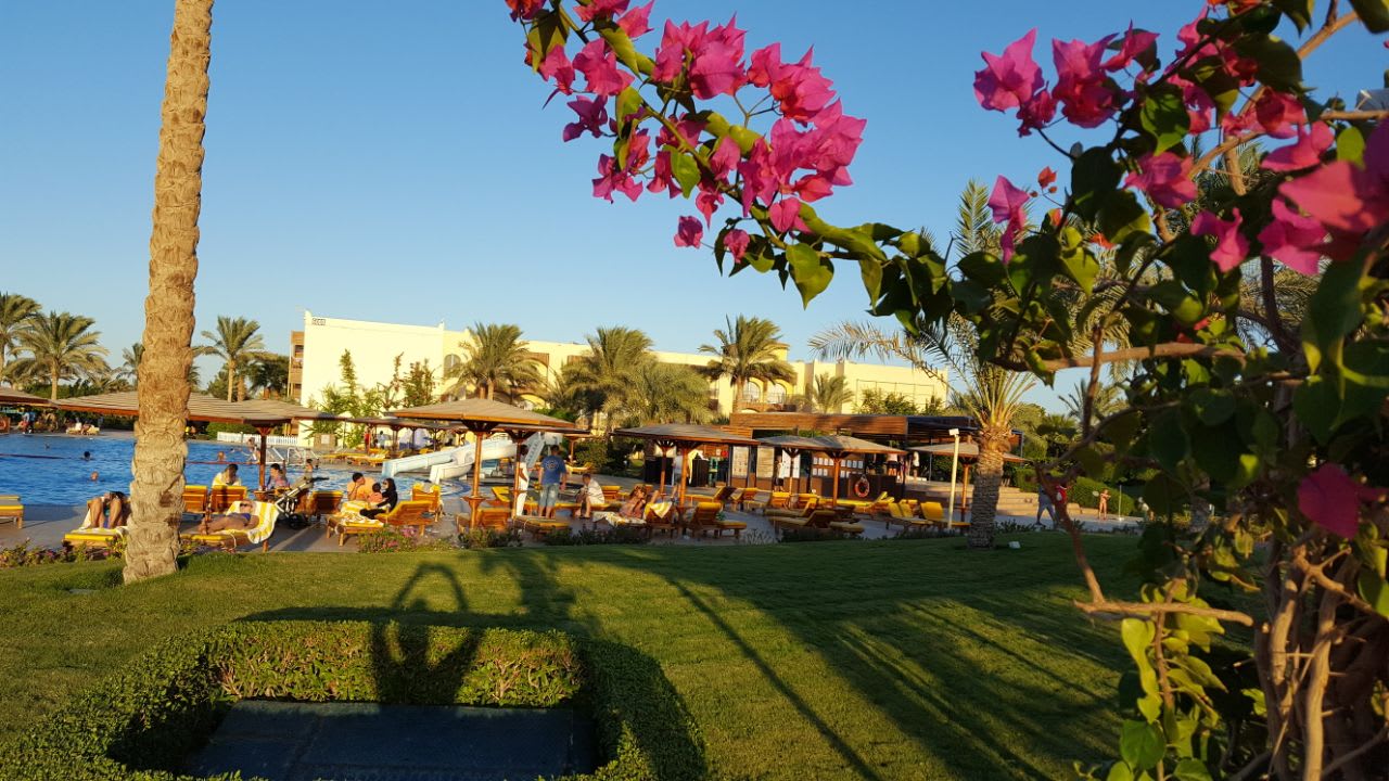 Außenansicht Desert Rose