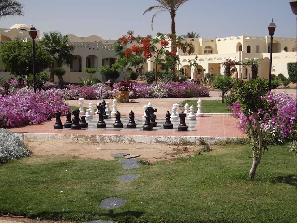 Super шахматы))) Regency Plaza Aqua Park & Spa