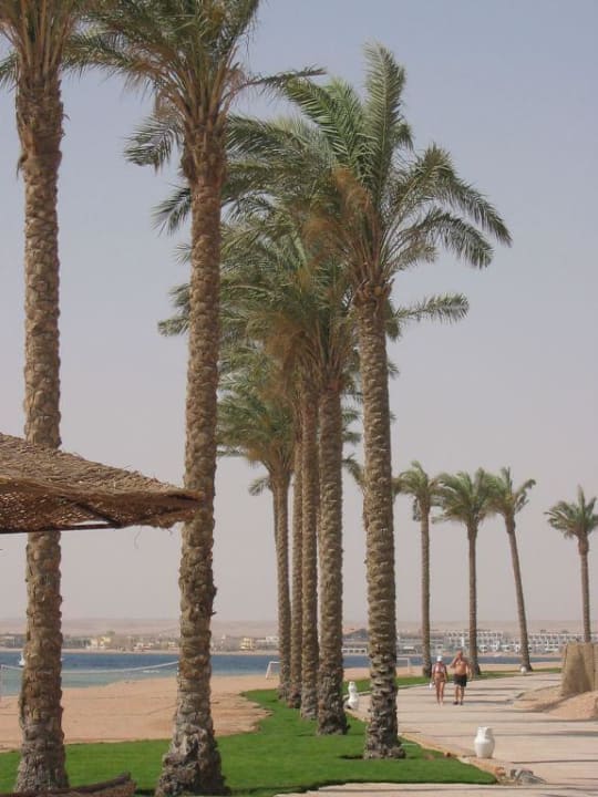 Strand Makadi Palace