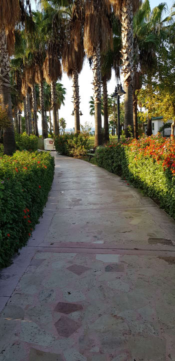 Gartenanlage Royal Atlantis Beach Hotel