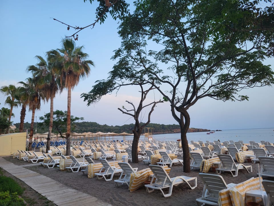 Strand Hotel Gardenia Beach