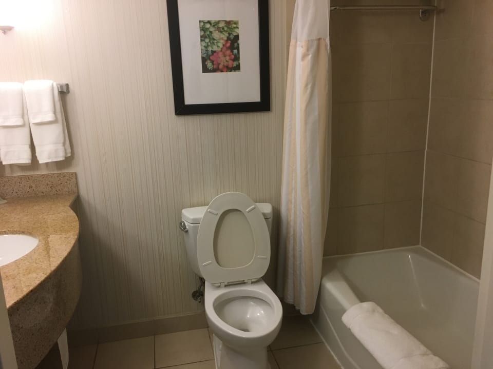 Zimmer Hotel Hilton Garden Inn Tallahassee Central