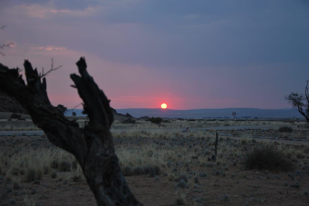 Desert Camp Desert Camp