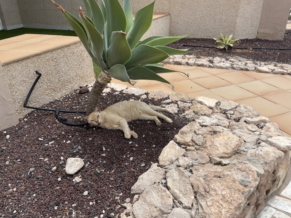 Außenansicht SBH Costa Calma Beach Resort