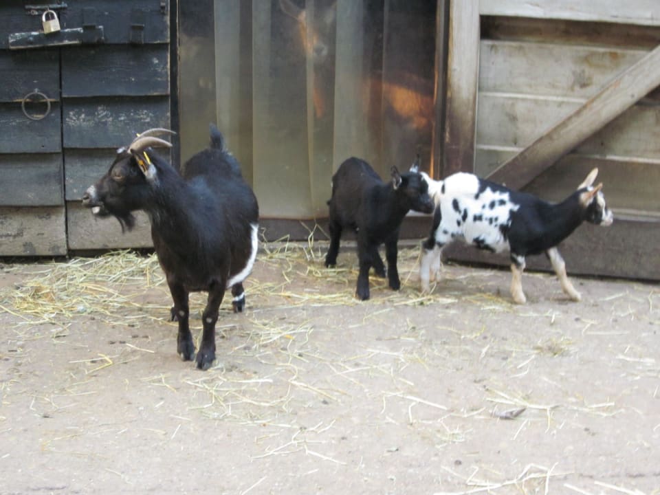 Anlage Center Parcs Het Meerdal