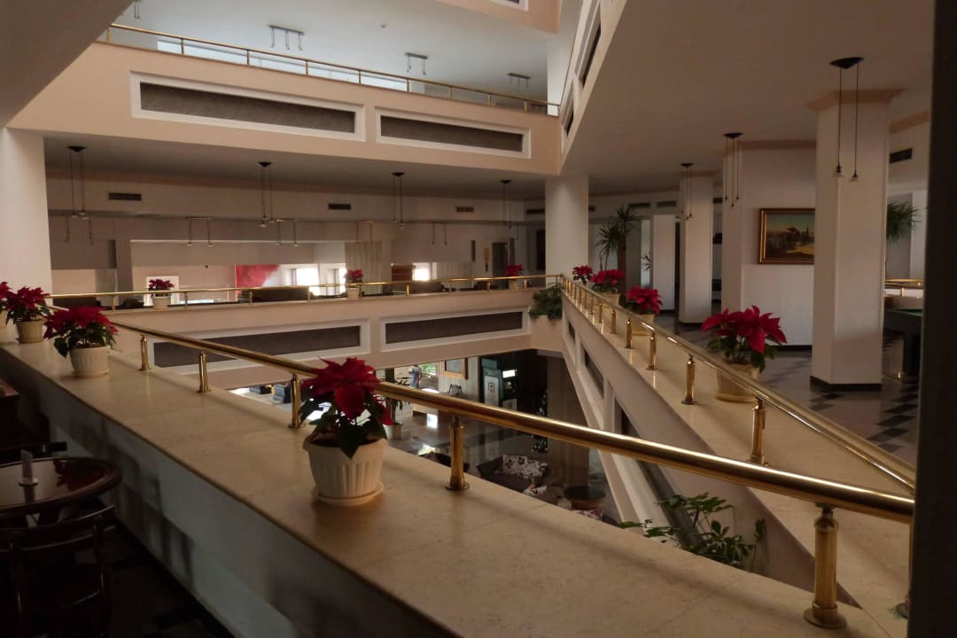 Weihnachtssterne überall als Deko Beach Albatros Resort