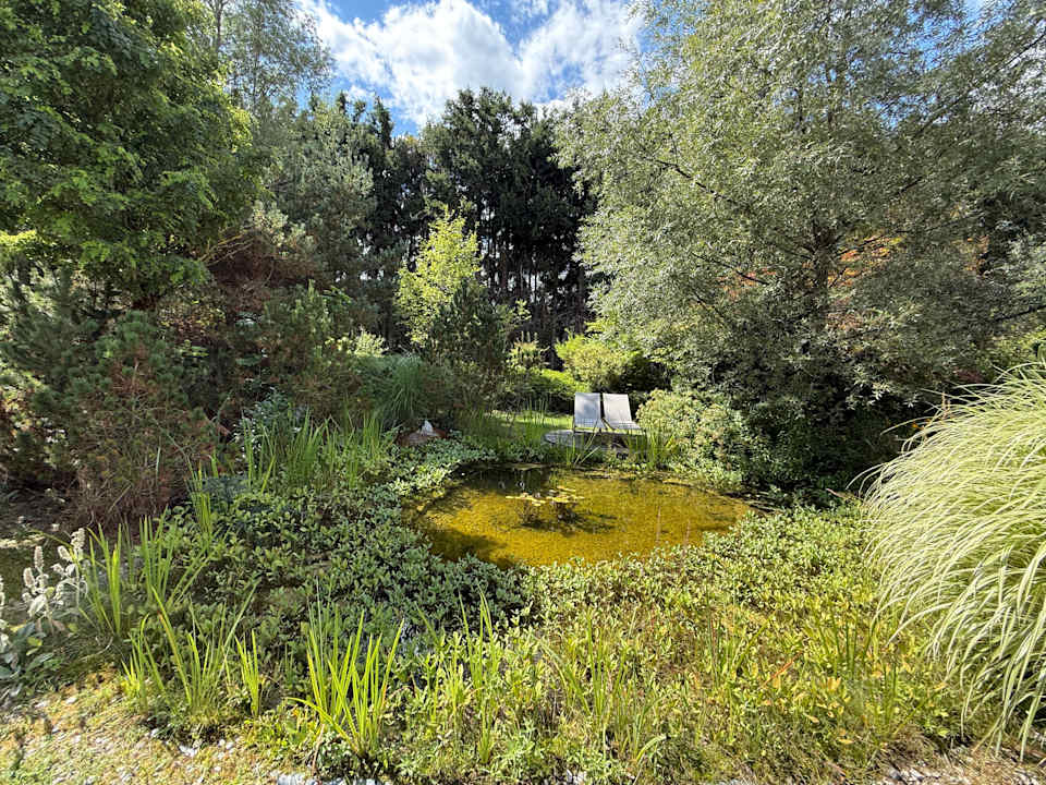 Gartenanlage Falkensteiner Hotel Schladming