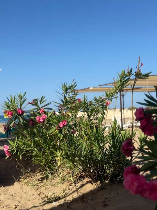 Strand Side Aquamarin Resort & Spa