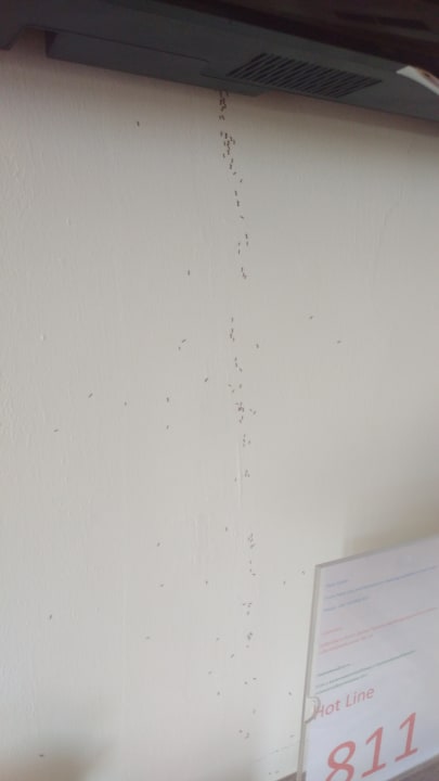 Zimmer Pickalbatros Dana Beach Resort - Hurghada