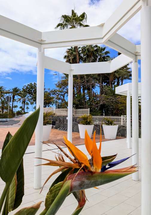 Lobby Abora Buenaventura by Lopesan Hotels