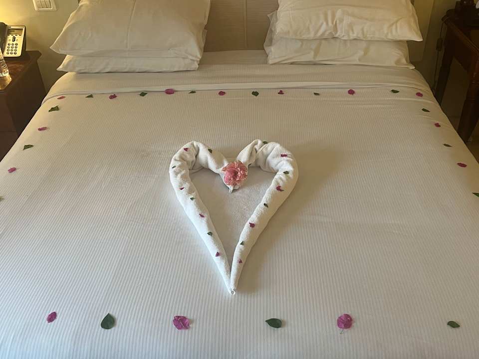 Zimmer Pickalbatros Palace Hotel-Port Ghalib