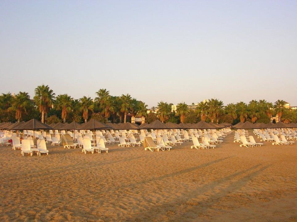 Strandliegen Hotel Defne Star