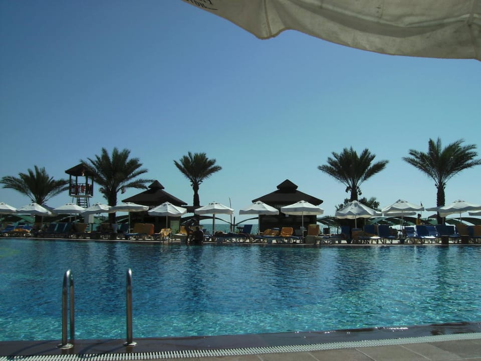 Großer Pool Papillon Belvil