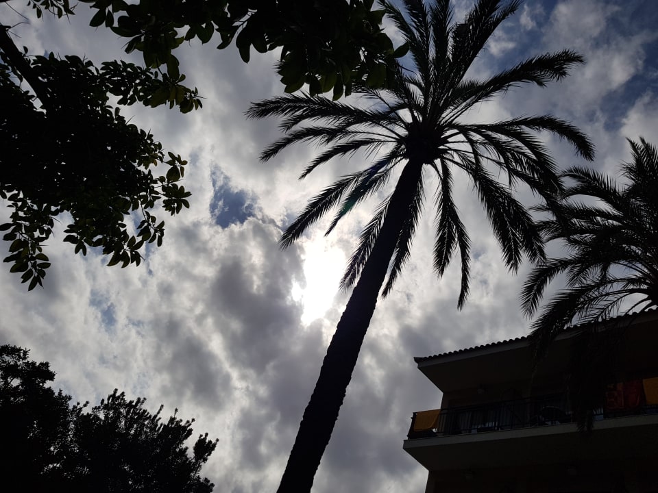 Sonstiges R2 Lago Playa Park