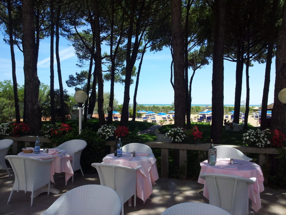 Vista dall'ampio terrazzo Hotel Beau Rivage Pineta