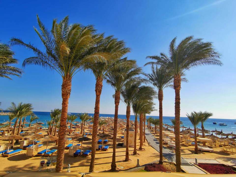 Strand Beach Albatros Resort