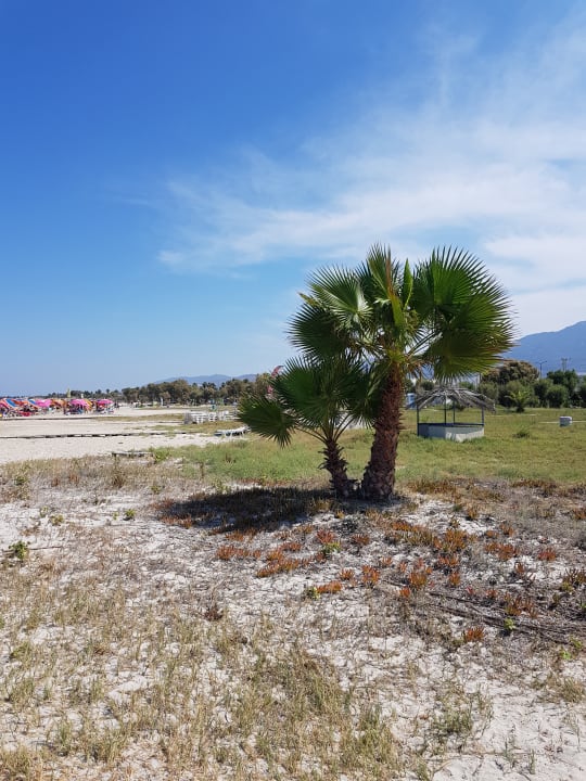 Strand Hotel Gaia Village