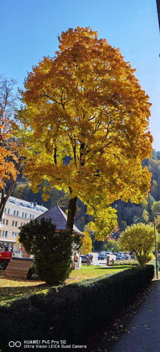 Ausblick Apart & Suiten Hotel Weiden