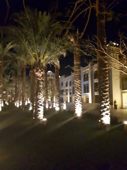 Gartenanlage The Grand Palace - Adults only