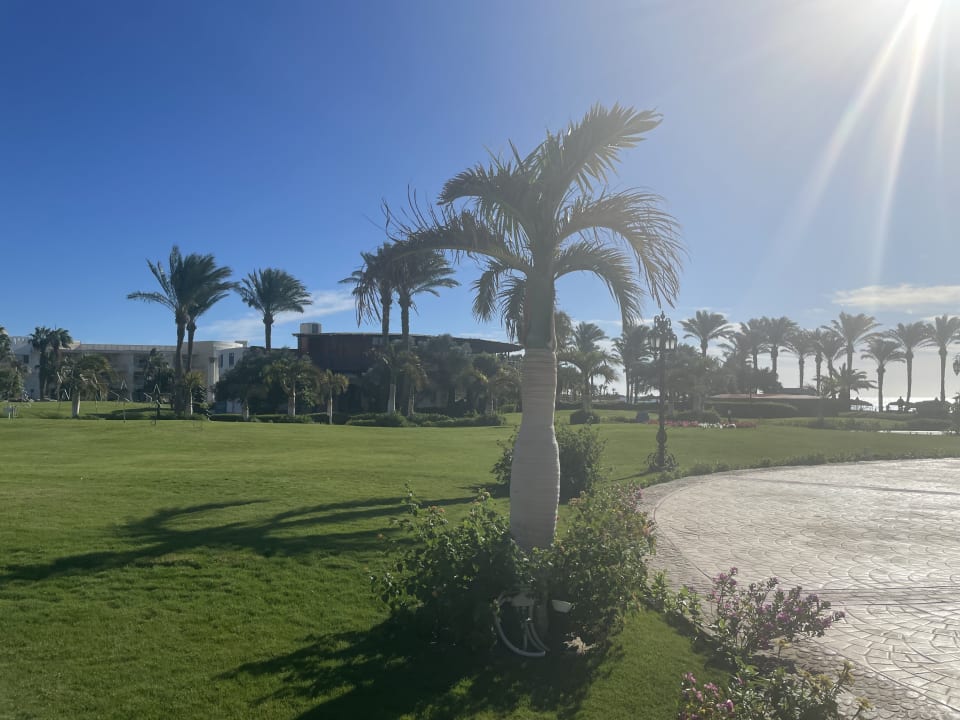 Außenansicht Palm Royale Resort - Soma Bay