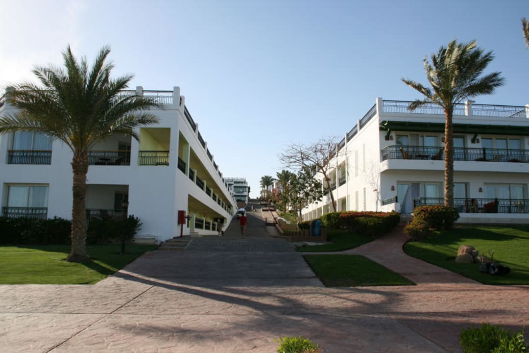 Blick vom Strand nach oben Safir Sharm Waterfalls Resort