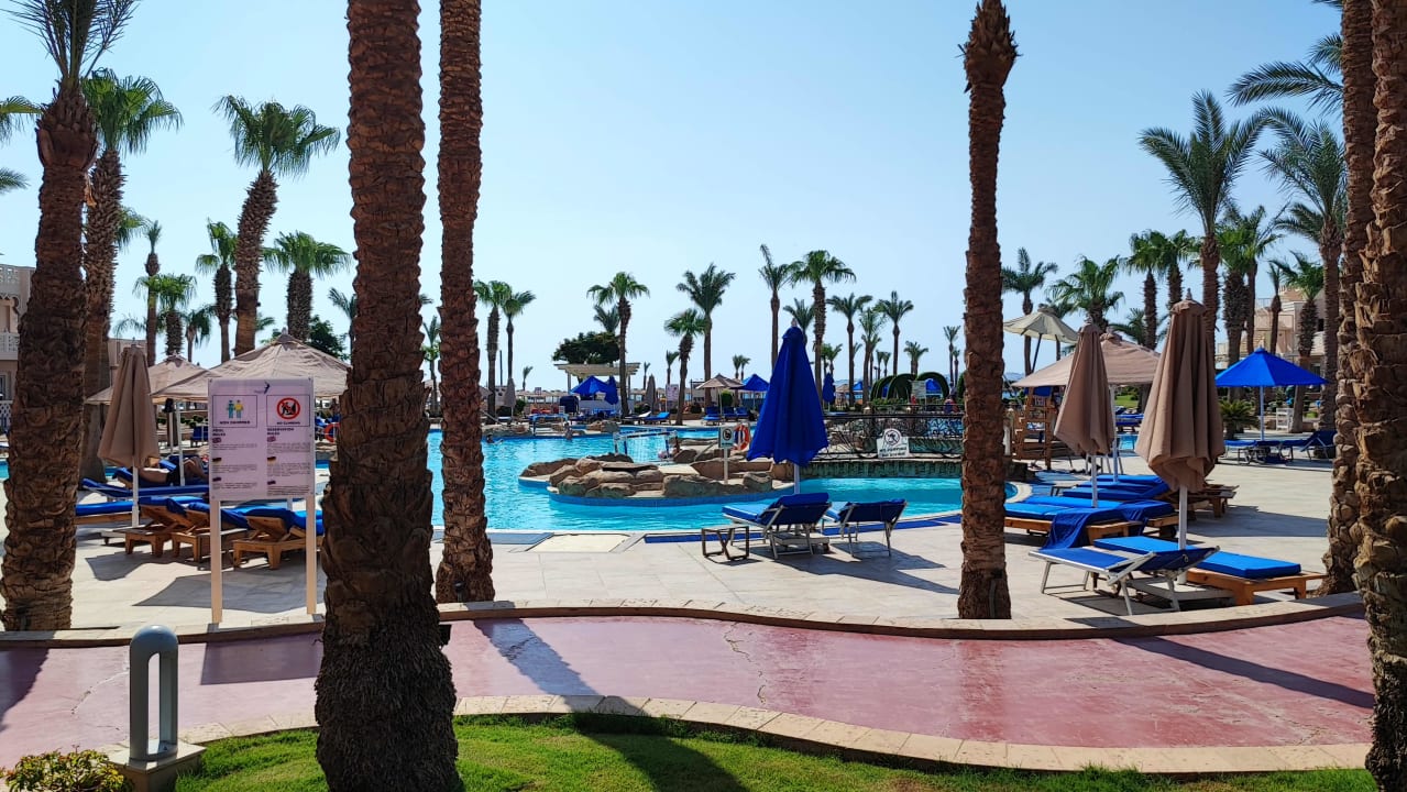 Pool Pickalbatros Palace Resort