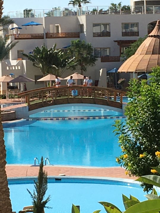 Pool Pickalbatros Palace Resort