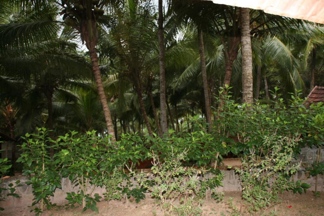 Aussicht Garden Cottage Niraamaya Retreats, Surya Samudra, Kovalam