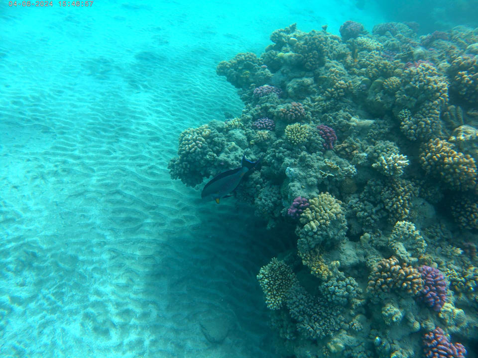 Strand Casa Mare Resort