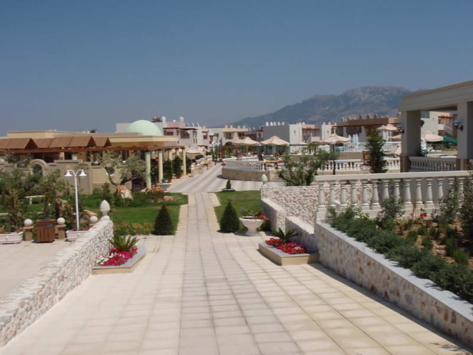 Near pool Hotel Gaia Palace
