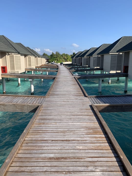 Pool Summer Island Maldives