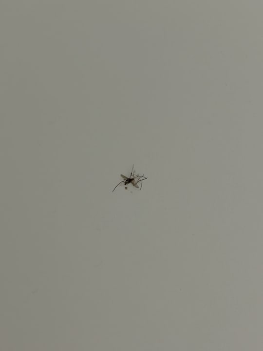 Zimmer Hotel HM Gran Fiesta