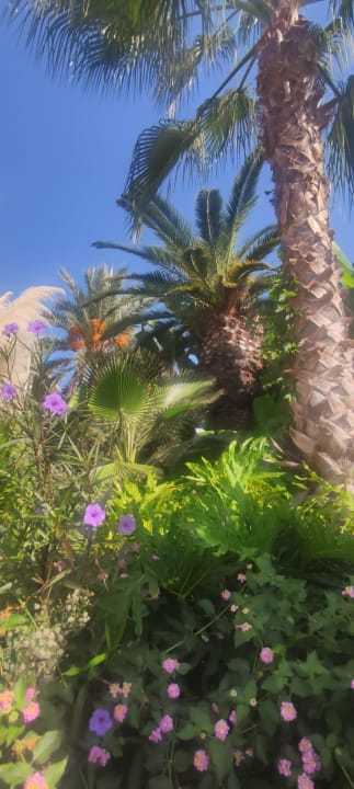 Gartenanlage Paloma Oceana