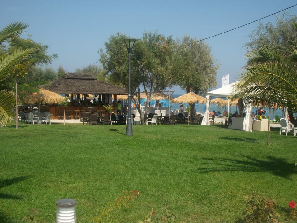 Strandbar alltoura Club Hotel Poseidon Palace