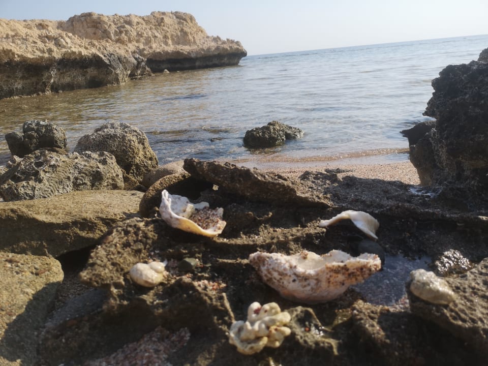 Strand Steigenberger Coraya Beach - Adults only