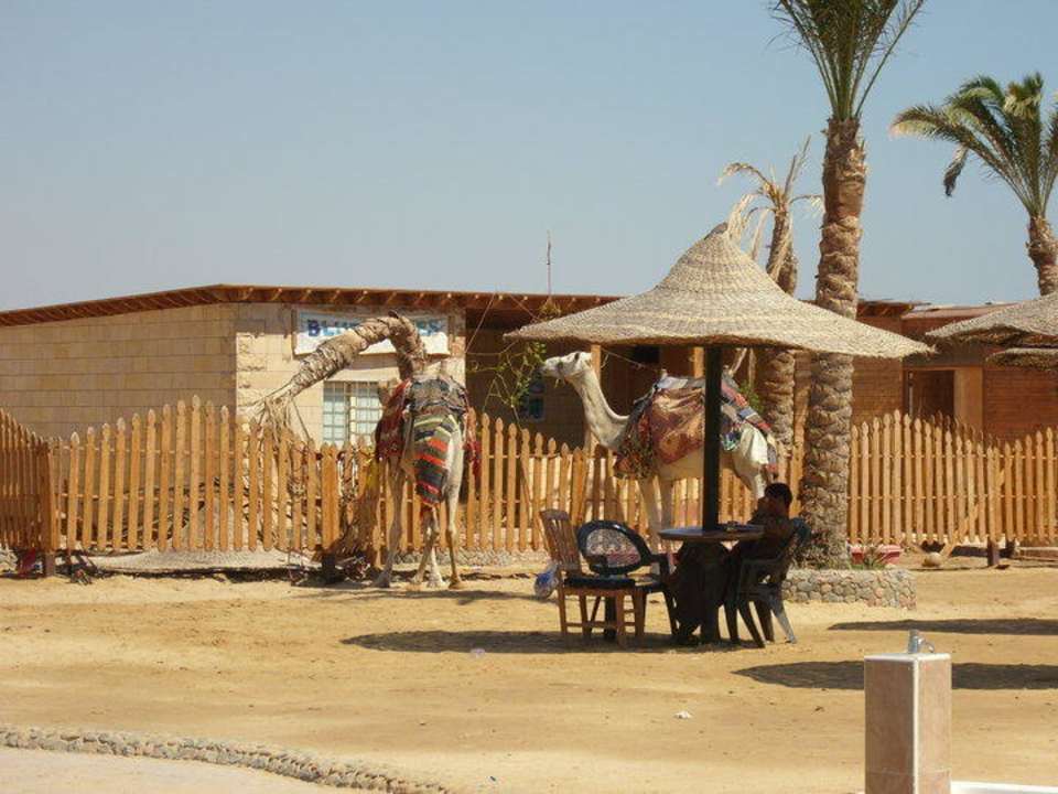 Kamel Riviera Aqua Park Resort