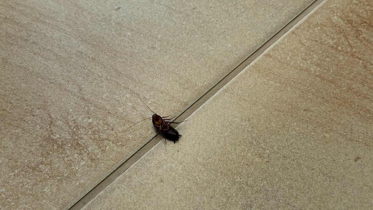 Zimmer Oz Hotels Incekum Beach