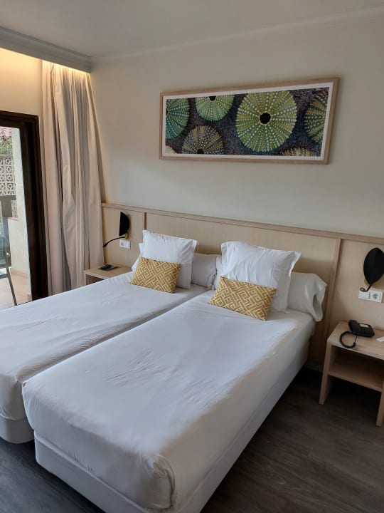 Zimmer AluaSoul Palma