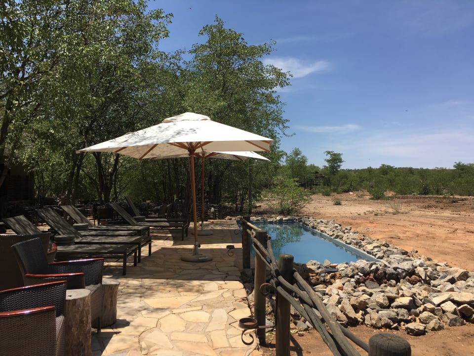 Pool Ongava Tented Camp