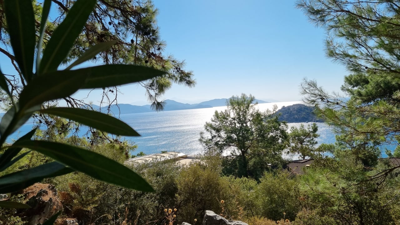 Ausblick TUI BLUE Seno - Adults Only